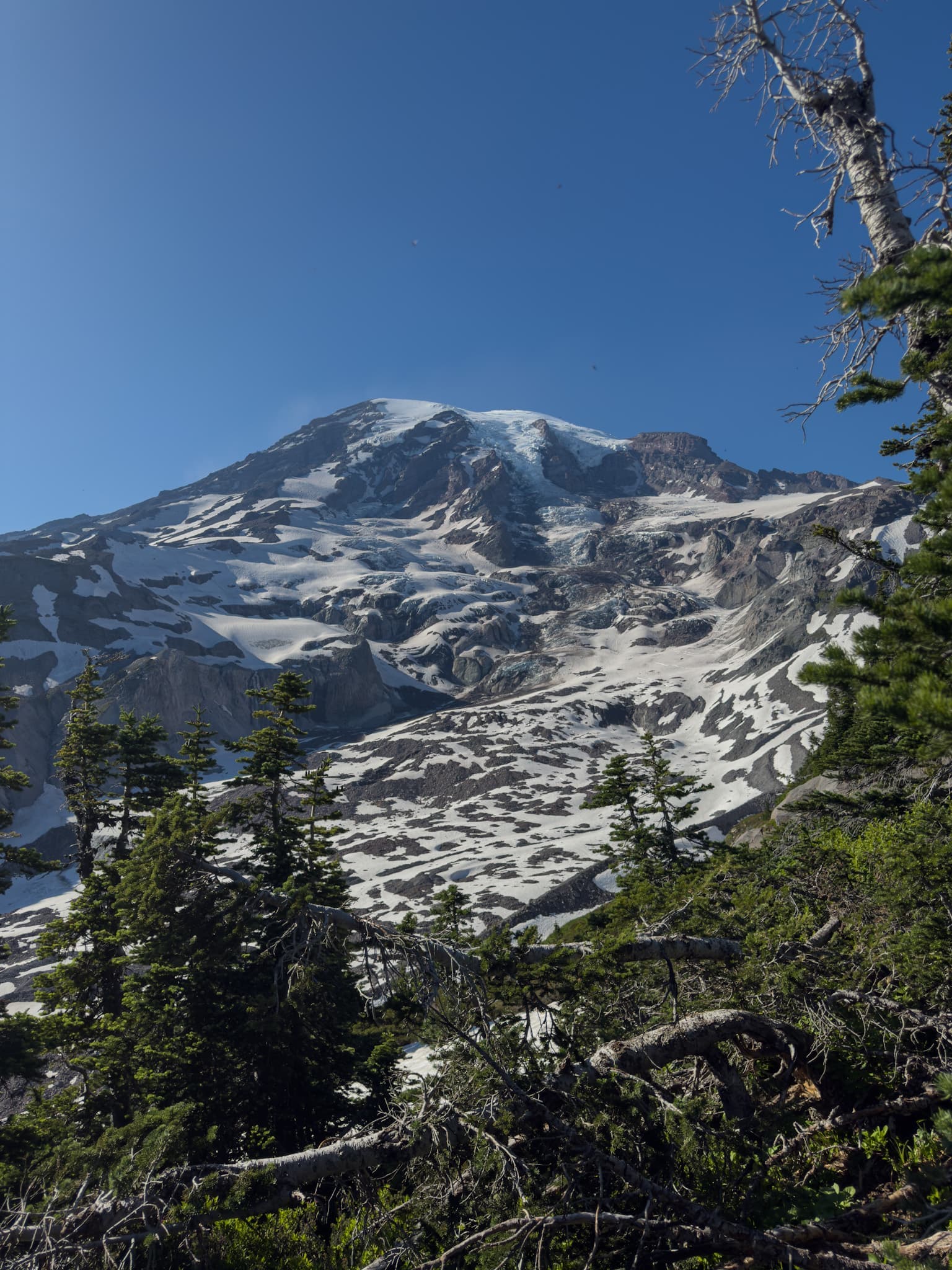 mt. rainier, wa